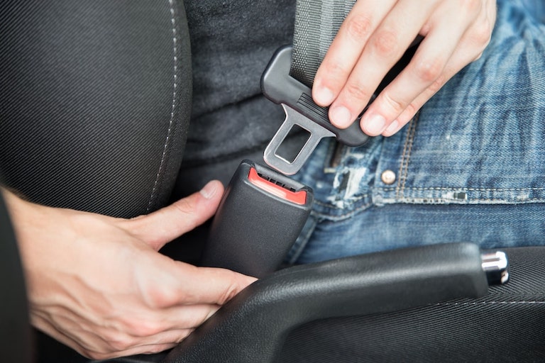 Person Fastening Seat belt